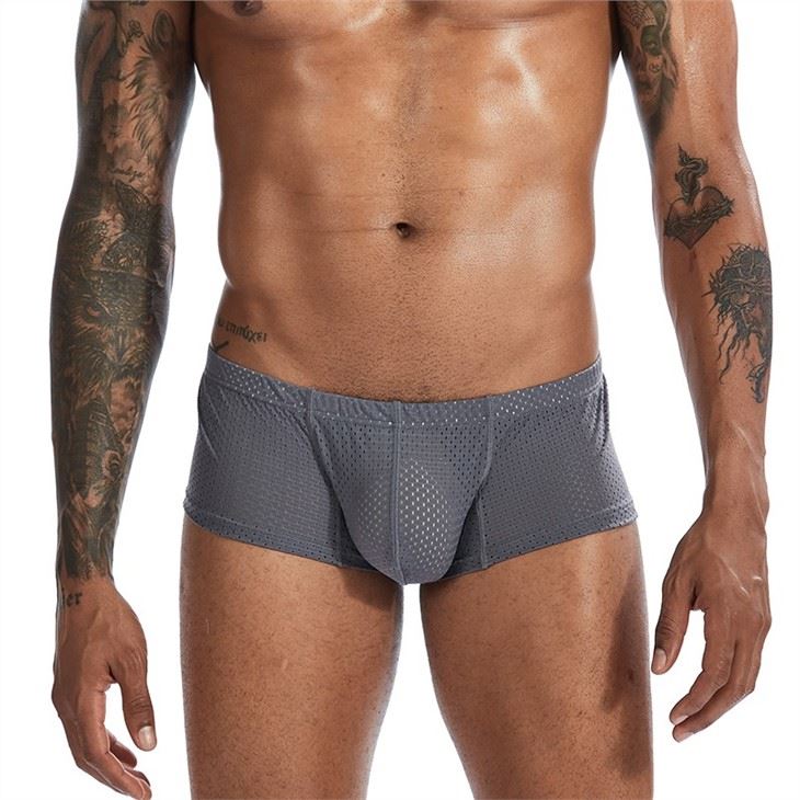 Men Underwear grey