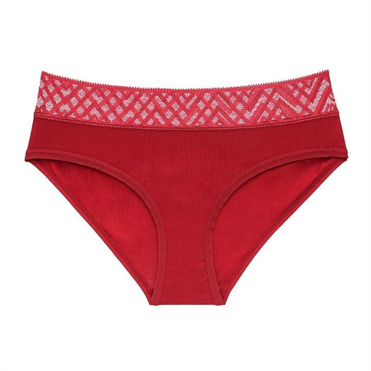 Plus Size Women Lace Panties