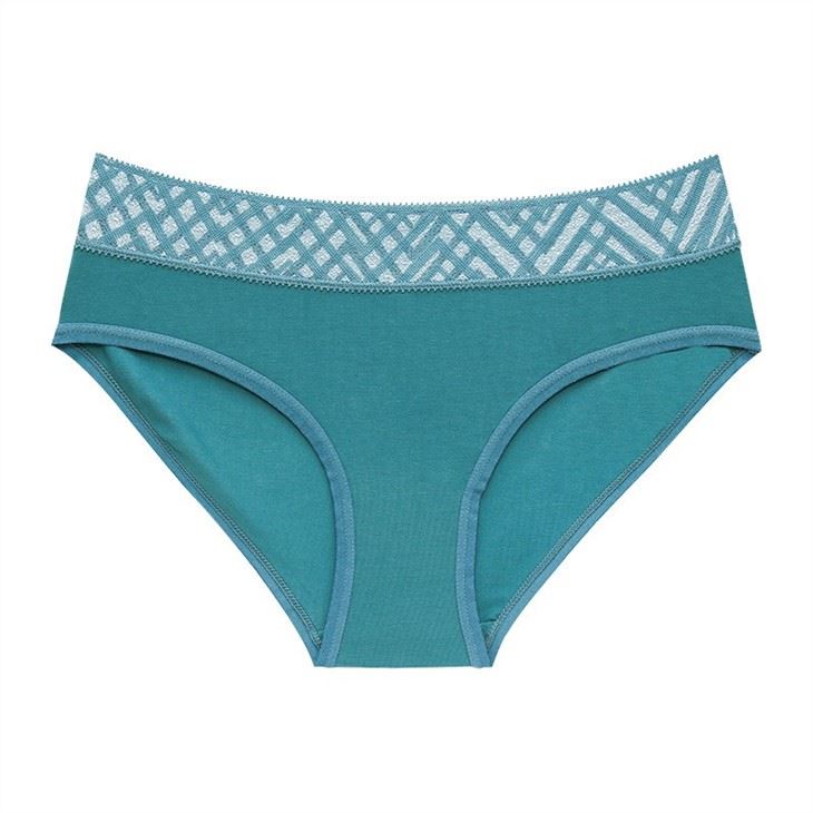 Plus Size Women Lace Panties