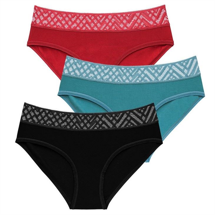 Plus Size Women Lace Panties